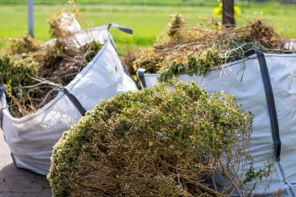 Trash Removal Near Me in Combine, TX